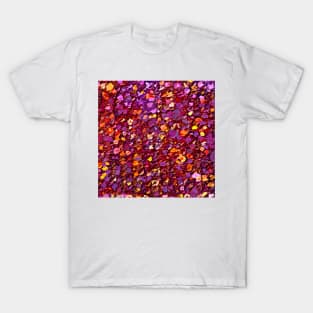 Straw Flowers in the Field T-Shirt